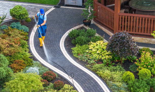 Best Affordable Pressure Washing  in Dickinson, ND