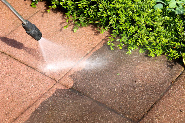 Best Exterior Home Cleaning  in Dickinson, ND